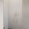 Cabina dus Walk-in Radaway Essenza Pro 6, 100 x 200 cm, gold