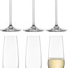 Set 6 pahare sampanie Schott Zwiesel Fortissimo 240ml