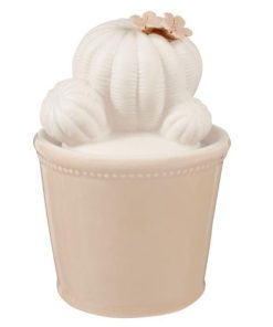 Borcan ceramic decorativ condimente alb bej Cactus 9x14 cm
