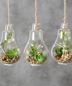 Decoratiune suspendabila din sticla, cu plante si LED Earth Verde, Modele Asortate, H12 cm