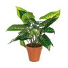 Floare artificiala in ghiveci 30 cm x 45h