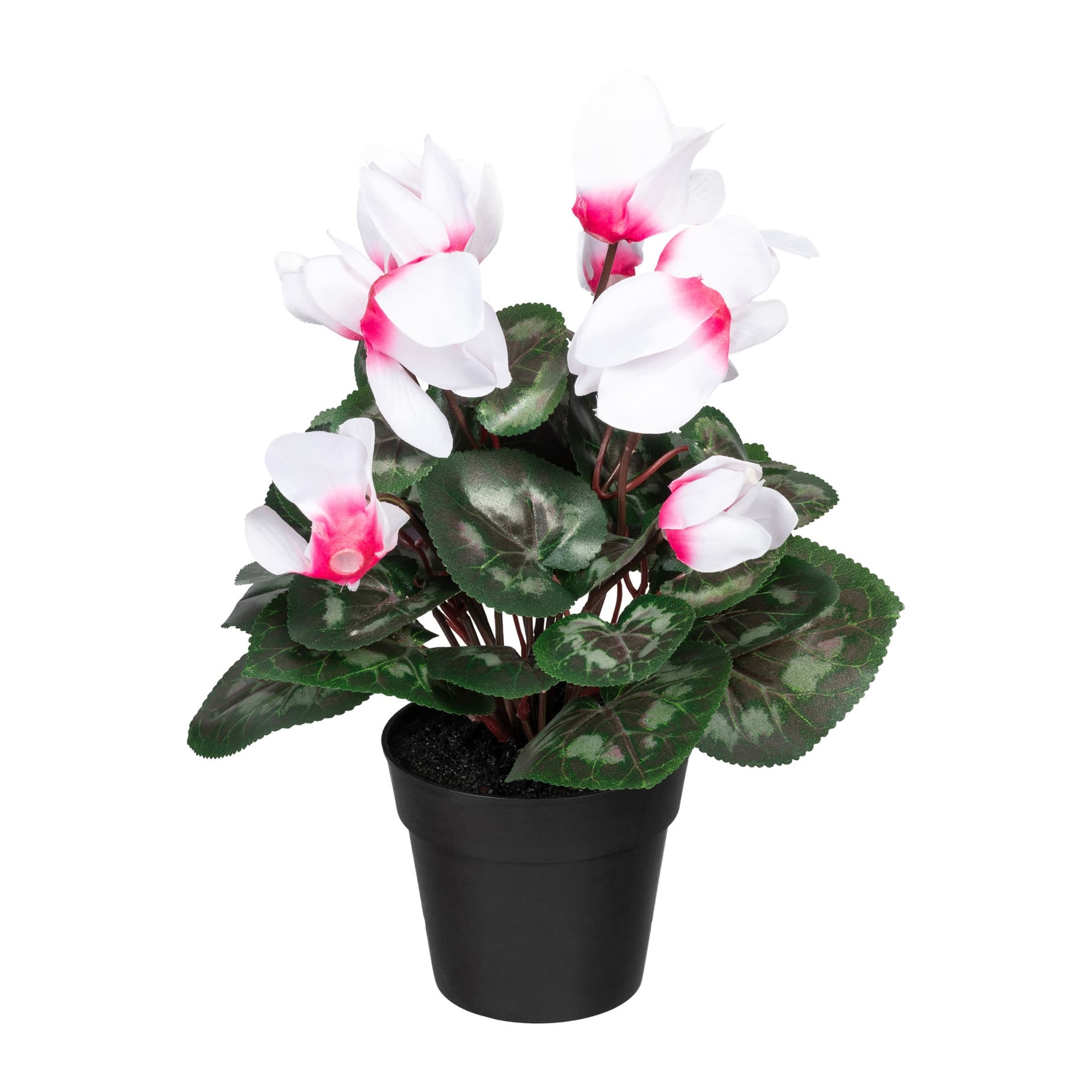Floare artificiala in ghiveci, Cyclamen Alb / Roz, H30 cm