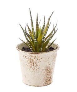 Planta artificiala suculenta in ghiveci metal alb patinat 10 cm x 10 cm x 11 h - Decorer