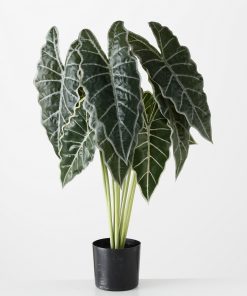 Planta artificiala in ghiveci Arrow Leaf Verde / Negru, H71 cm