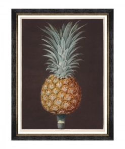 Tablou Framed Art Pineapples Of Antigua - The Antigua Pine By Brookshaw, 60 x 80 cm