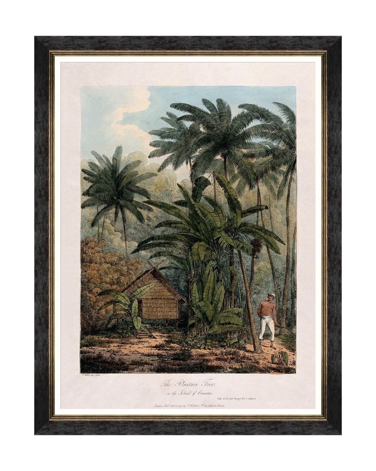 Tablou Framed Art Trees Of Krakatoa - The Plantain Tree, 60 x 80 cm