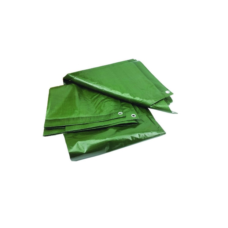 Prelata cu Inele Latime 5m, Lungime 8m, Greutate 120g/mp, Culoare Verde