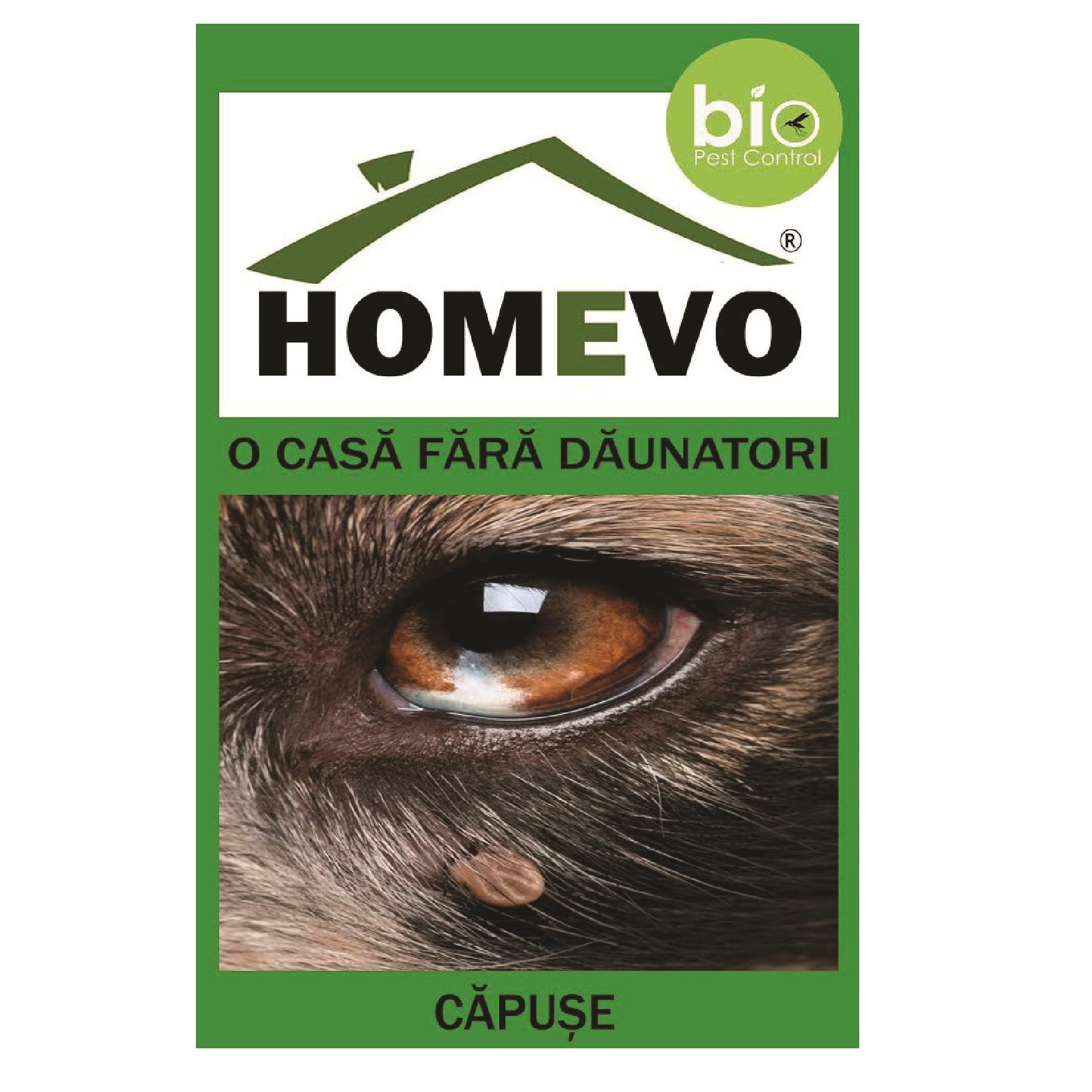 Homevo Capuse