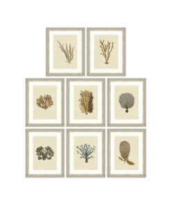 Tablou 8 piese Framed Art Alga Marina Plates