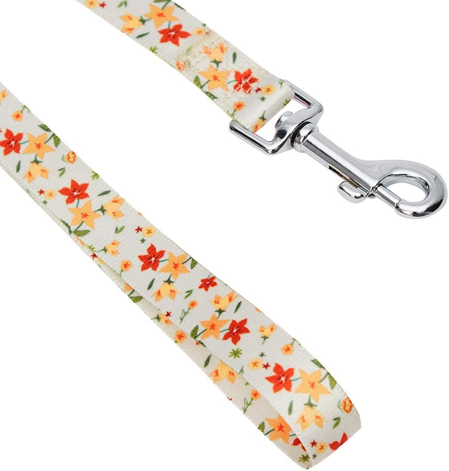 Lesa pentru caine Umi, cu model floral, multicolor, marimea S - imagine 3