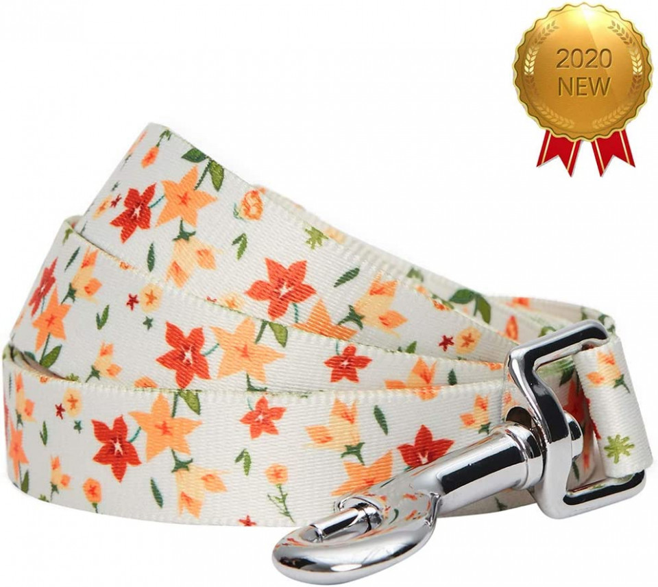 Lesa pentru caine Umi, cu model floral, multicolor, marimea S - imagine 5
