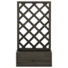 vidaXL Jardinieră cu spalier de grădină, gri, 50x25x90 cm, lemn brad