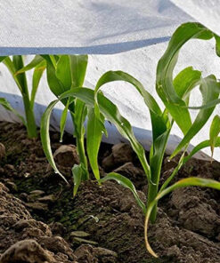 Alternative view of Folie pentru protectia plantelor GARDENIX, polipropilena, alb, 3,2 x 5 m