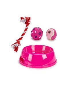 Set 1 x castron si 3 jucarii pentru caini, 25,8 x 25,8 x 7,5 cm, Magenta