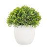 Planta artificiala verde Coryn 14x16 cm