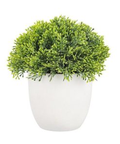 Planta artificiala verde Coryn 14x16 cm