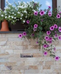Ardezie Rhodos Natur, 5 cm x LL | Piatra Decorativa - Placari Verticale, Exterior-Interior