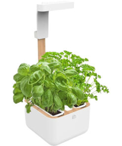 Véritable Botaneo + 2 umpluturi cu ierburi - Ghiveci de flori automat