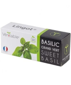 Véritable Lingot Busuioc dulce - Organic