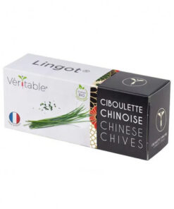 Veritable Lingot Arpagic chinezesc - BIO